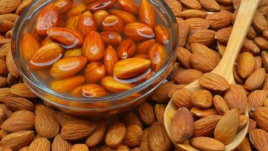 Eating almonds everyday will increase intelligence