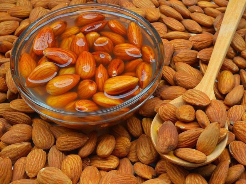 Eating almonds everyday will increase intelligence