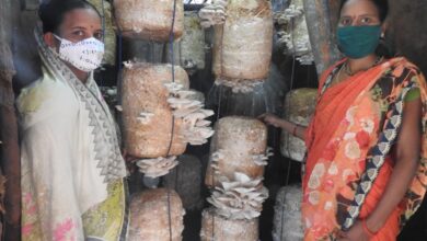 Empowering Entrepreneurship