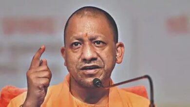 Yogi government in action mode