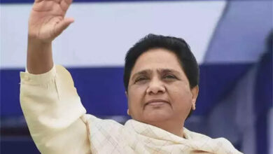 BSP will do anything for elections, Mayawati busy in counting the works of her governments