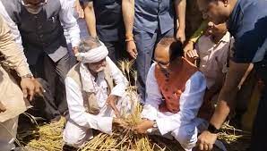 CM sitting in the field saw the ruined crop