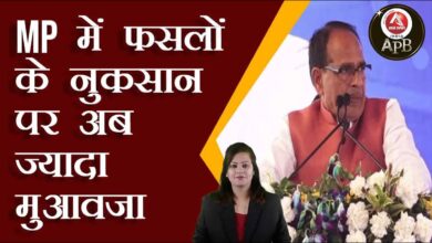 Now more compensation on loss of crops in MP